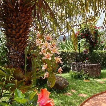 Gama Rodeados De Natureza Apartment *