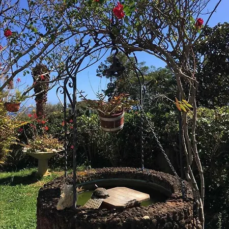 Gama Rodeados De Natureza Lägenhet Machico (Madeira)